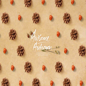 松果&灯笼果海报背景图片psd素材