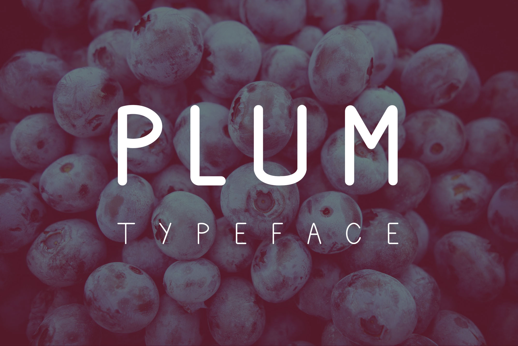 正楷可爱英文手写字体 Plum Fun Typeface