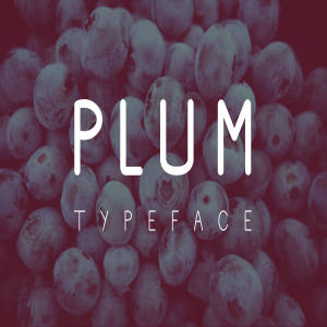 正楷可爱英文手写字体 Plum Fun Typeface
