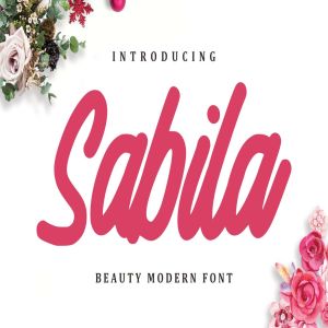 现代设计风格精美英文手写字体下载 Sabila – Beauty Modern Font
