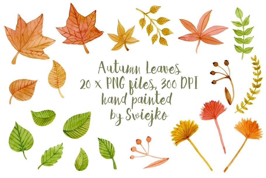 秋天落叶剪贴画 Autumn Leaves, clipart