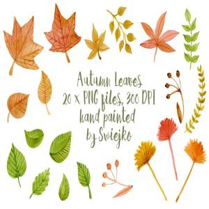 秋天落叶剪贴画 Autumn Leaves, clipart