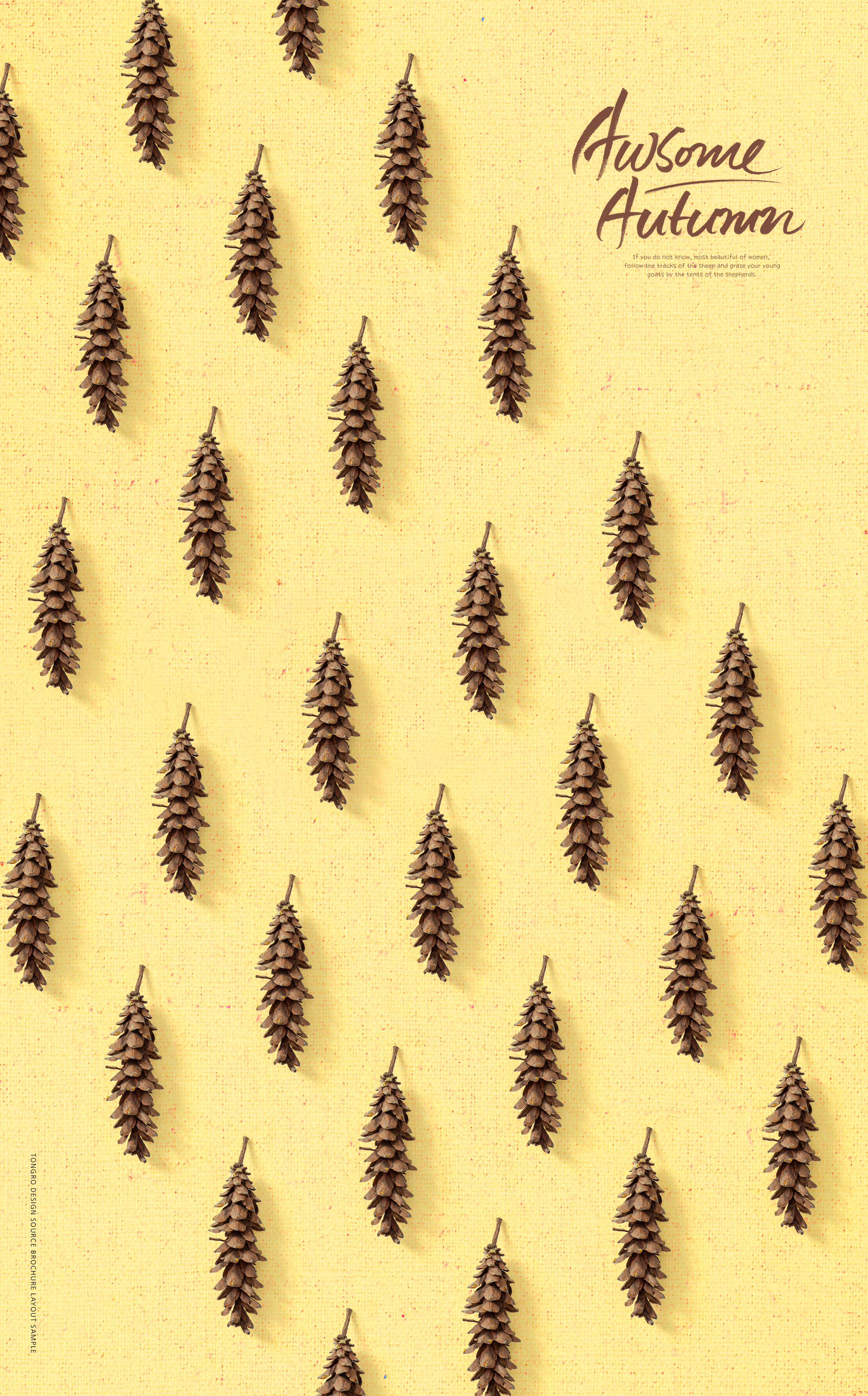 秋收季节野松果海报背景图片素材