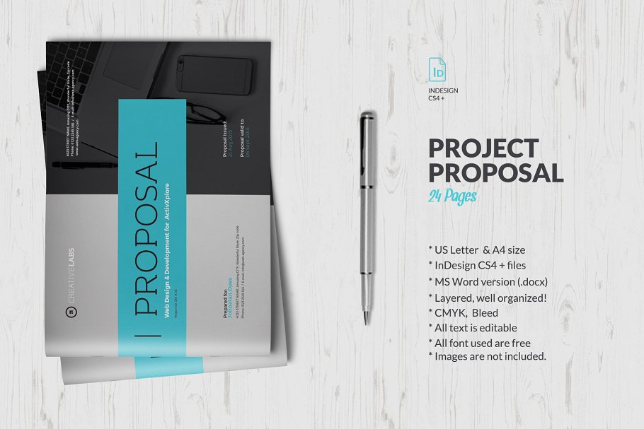 一份专业性的企业提案/创业方案小册子模板