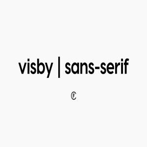无衬线英文字体 Visby CF Geometric Sans Font