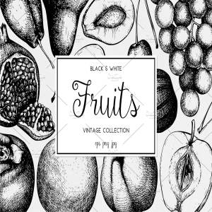 墨水手绘水果素材合集 Ink hand drawn fruit collection