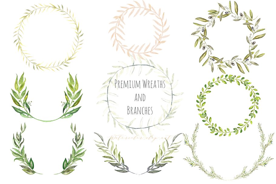 高级花环剪枝水彩剪贴画 Premium wreaths and branches clipart