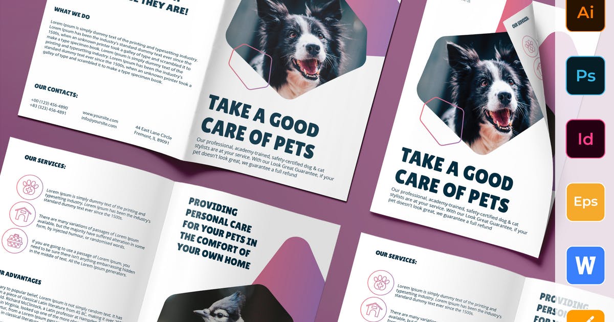 宠物美容护理 双折页尺寸传单设计模板