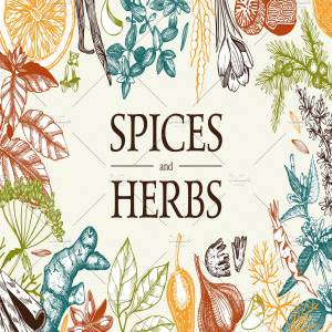 厨房香料及香草矢量插画 Vector Kitchen Spice & Herbs Set