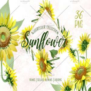 向日葵黄色水彩元素插画合集