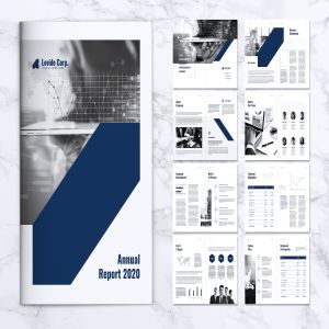 上市公司企业年度报告设计模板 LEVIDE Corporate Annual Report