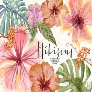 水彩芙蓉花花卉元素 Watercolor hibiscus flower monstera