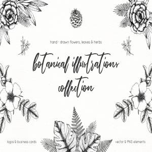 手绘植物矢量插图包