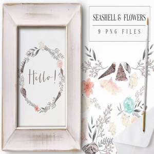 贝壳与花卉手工剪贴画 Seashell and Flowers