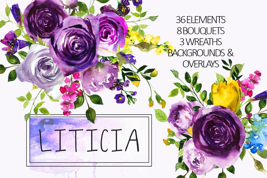 紫罗兰水彩剪贴画合集 Purple Violet Flowers Clipart Set