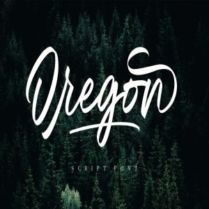 绘画画笔英文书法字体 Oregon Script MS