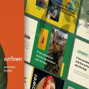 摄影工作室介绍PPT模板素材下载 Sunflowers – Powerpoint
