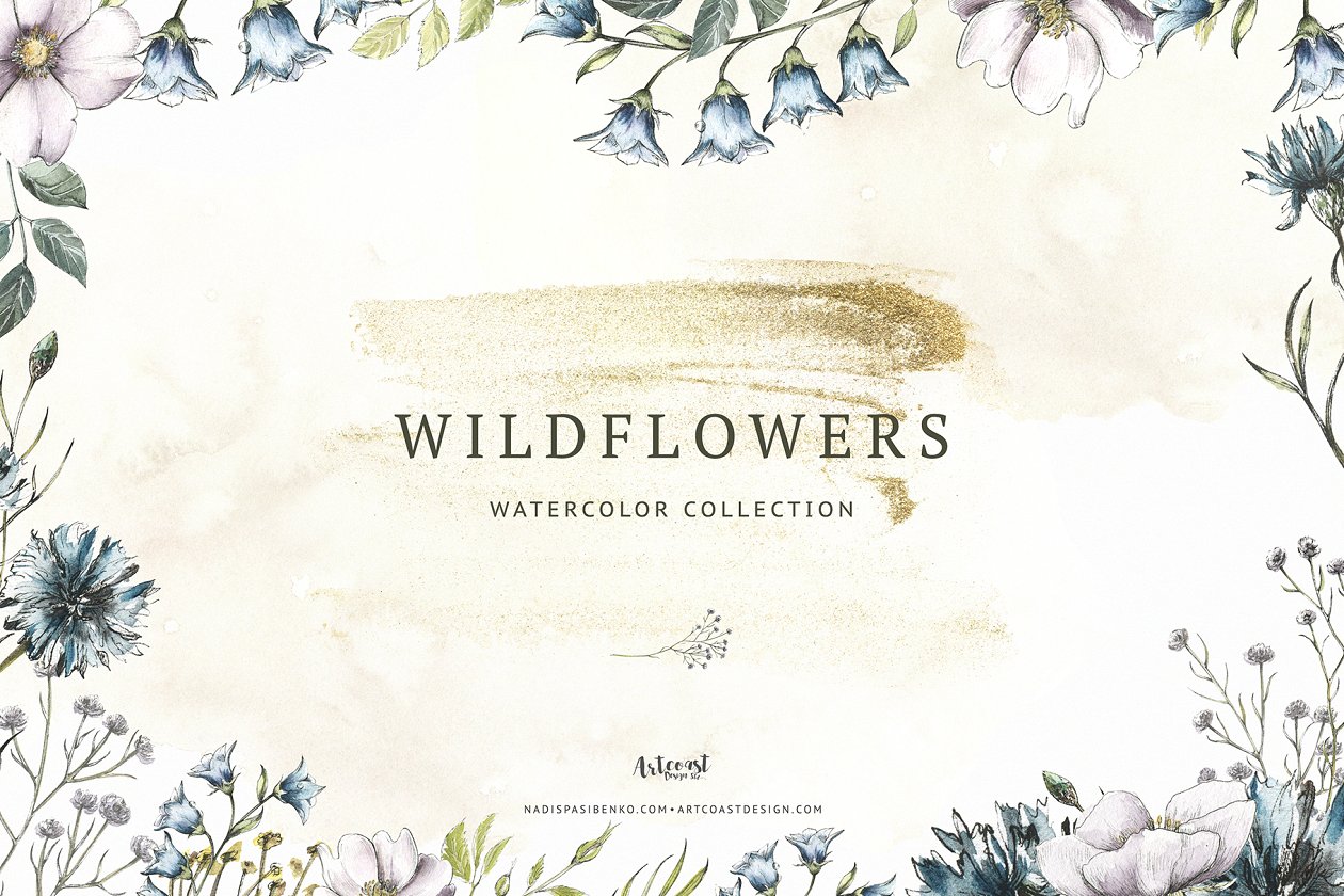 路边野花不要采-精选野花水彩剪切画 Wildflowers