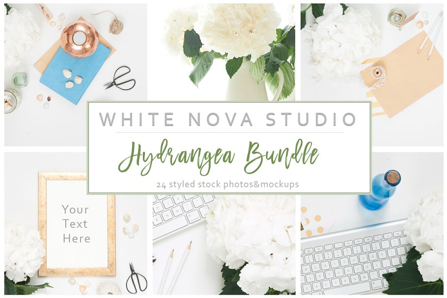 八仙花装饰工作场景样机 Hydrangea Workplace Bundle