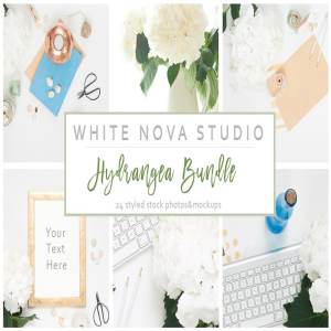 八仙花装饰工作场景样机 Hydrangea Workplace Bundle