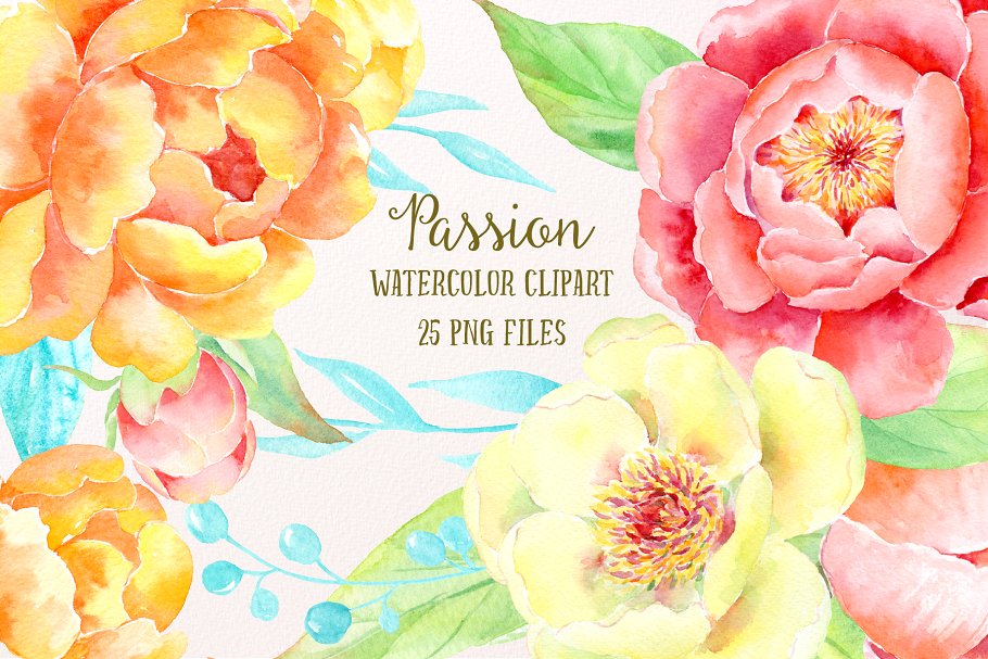 激情水彩牡丹插画艺术合集 Watercolor Clipart Peony Passion
