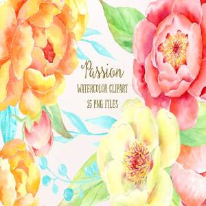 激情水彩牡丹插画艺术合集 Watercolor Clipart Peony Passion
