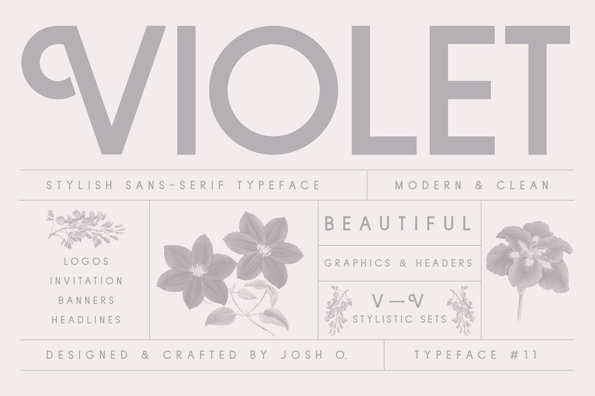 现代优雅品牌设计英文无衬线字体 Violet Font