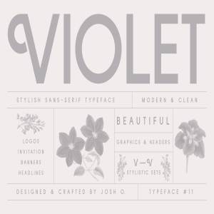 现代优雅品牌设计英文无衬线字体 Violet Font