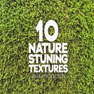 10张绿植高清背景图片素材 Nature Stuning Textures x10