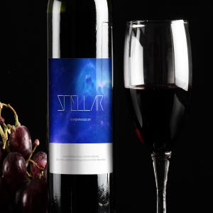 酒类商标设计图预览酒瓶样机模板06 Wine Bottle Mockup 06插图1