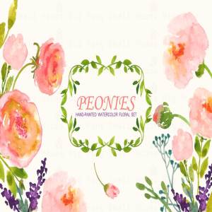 牡丹花水彩剪贴画 Peonies- Watercolor Clip Art Set