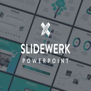 互联网项目路演项目营销规划PPT模板下载 Slidewerk – Marketing Powerpoint Template