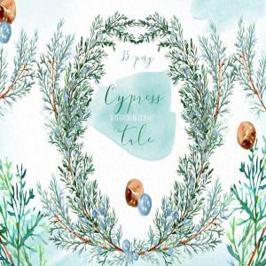 柏树水彩剪贴画 Cypress tale. Watercolor clipart
