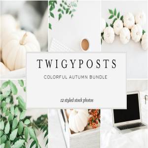 秋季简约实物场景样机模板 Colorful Autumn Stock Photo Bundle