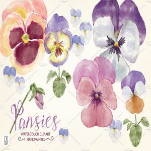 高品质的手绘花卉水彩图案 Watercolor hand painted pansies