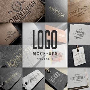时尚高端的高品质logo标志标签挂签吊牌VI样机展示模型mockups