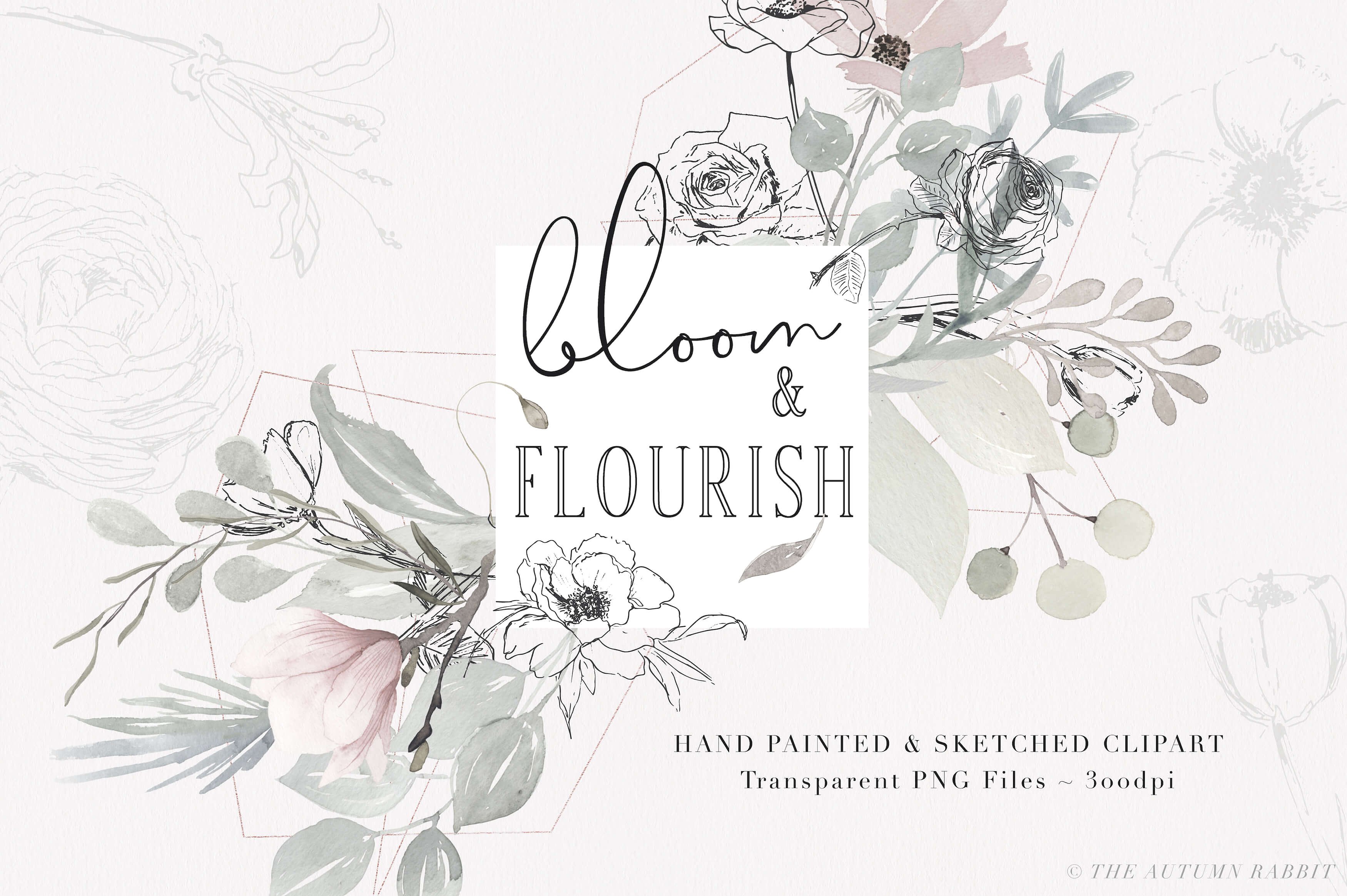 淡雅手绘素描花卉剪贴画 Bloom & Flourish – Floral Clipart
