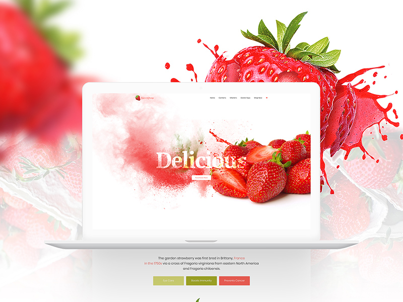 草莓主题网页模版 Product Landing Template – Strawberry