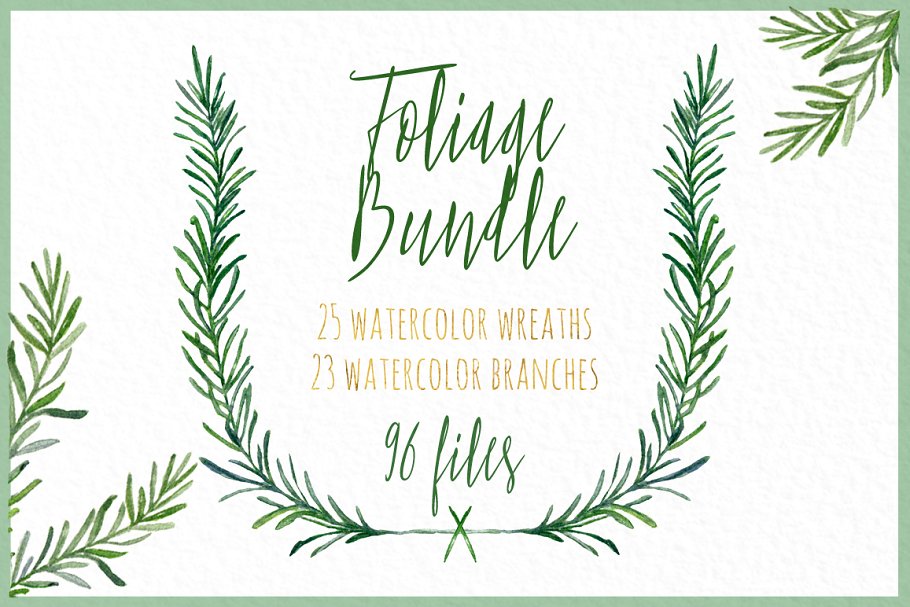 水彩花环&花枝插画 Wreaths & branches watercolor