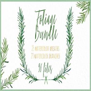 水彩花环&花枝插画 Wreaths & branches watercolor