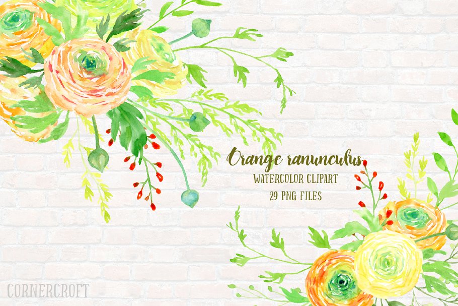 橙色水彩毛茛花卉剪贴画素材集 Watercolor Clipart Orange Ranunculus