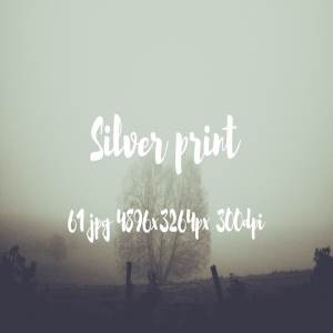 大自然之美高清照片素材 Silver Print Photo pack