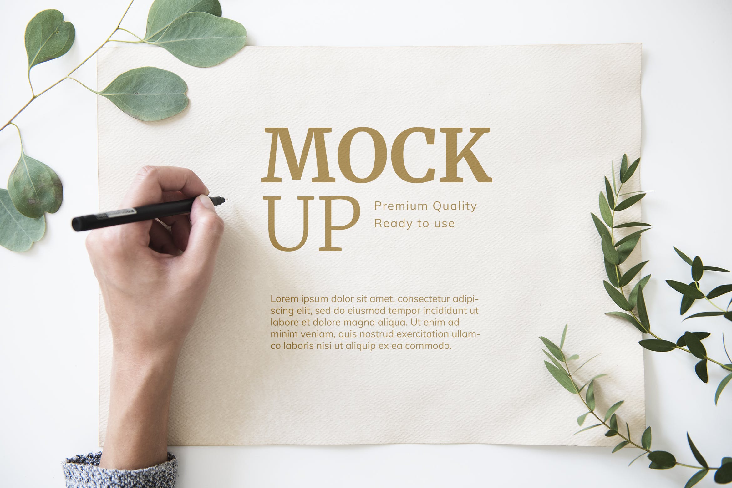 手绘插画/书法预览样机模板 Paper mockup