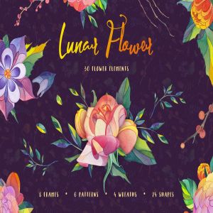月球花水彩矢量图形插图套装 Lunar Flower Watercolor Graphic Kit