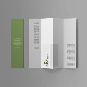 垂直折页传单设计效果图预览样机 Vertical Foldable Brochure Mockup