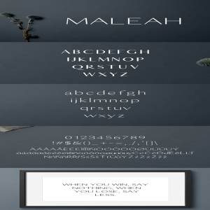 一款优雅的现代无衬线字体 Maleah Sans Serif 2 Font Family Pack