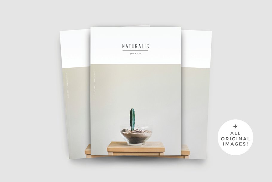 盆栽植物主题杂志模板 NATURALIS Lookbook / Magazine