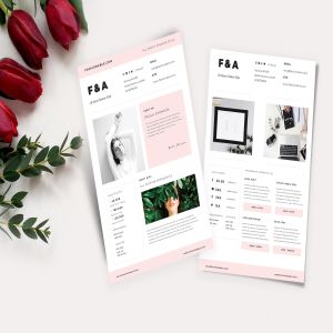 时尚博主/大V简历模板设计素材 Social Media Promotion Kit