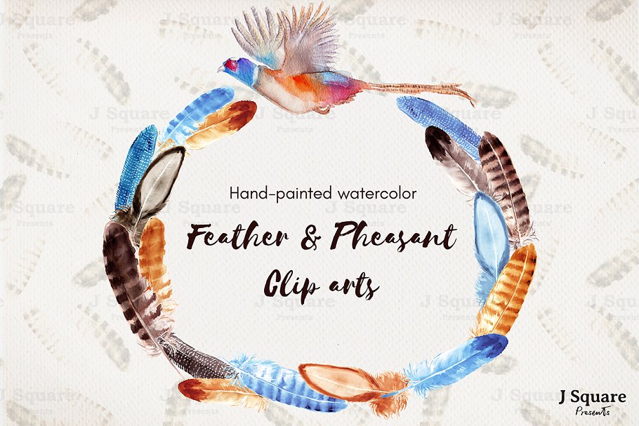 彩色水彩山鸡羽毛剪贴画 Watercolor Feather Clip Arts