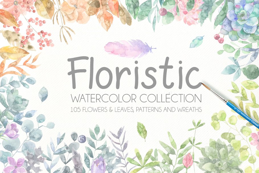 水彩植物插画合集 Floristic Watercolor Collection Pro